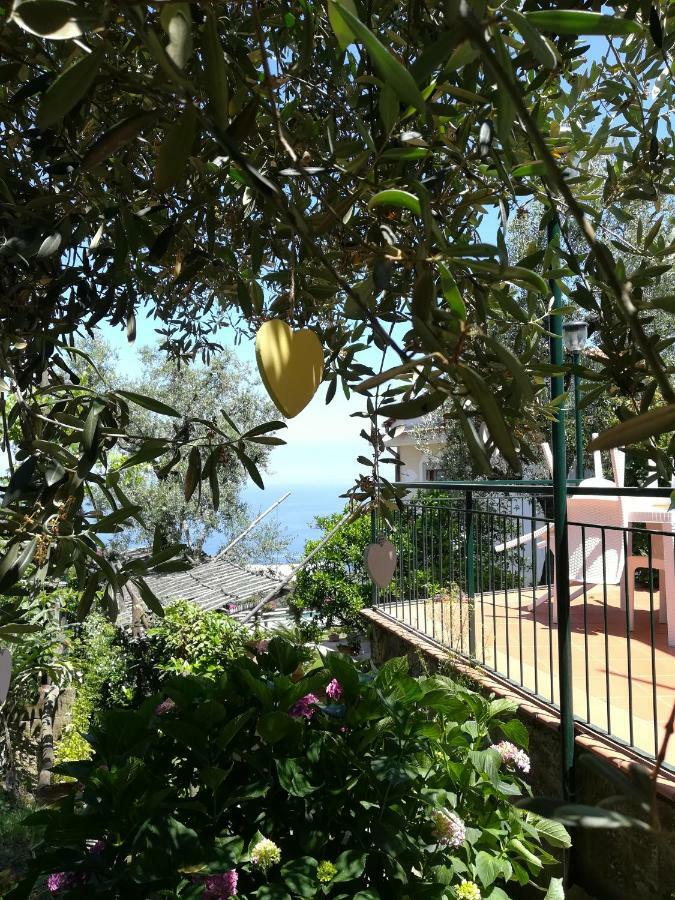 Casa Vacanza L'Ulivo Villa Sorrento Ngoại thất bức ảnh